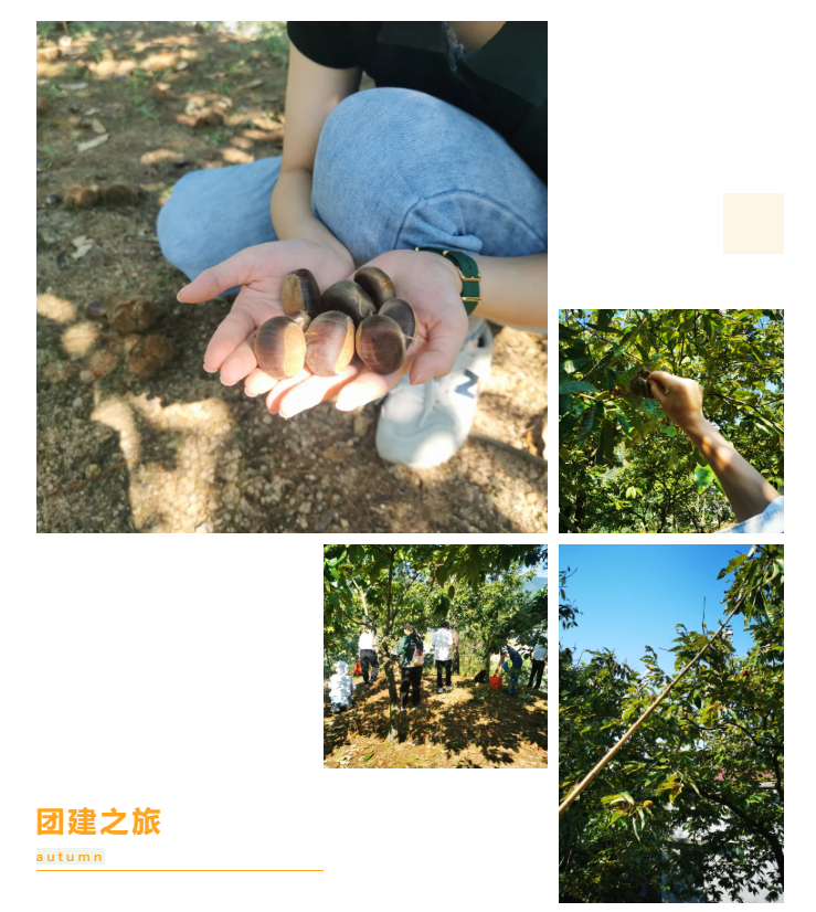秋天了，來一場(chǎng)成年人的秋游吧(圖6)